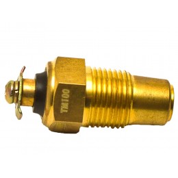 Датчик температуры охлаждающей жидкости (винт) ТМ100 МАЗ